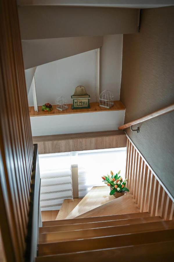 Bed and Breakfast Vasko Panzio Borpince à Tokaj Extérieur photo