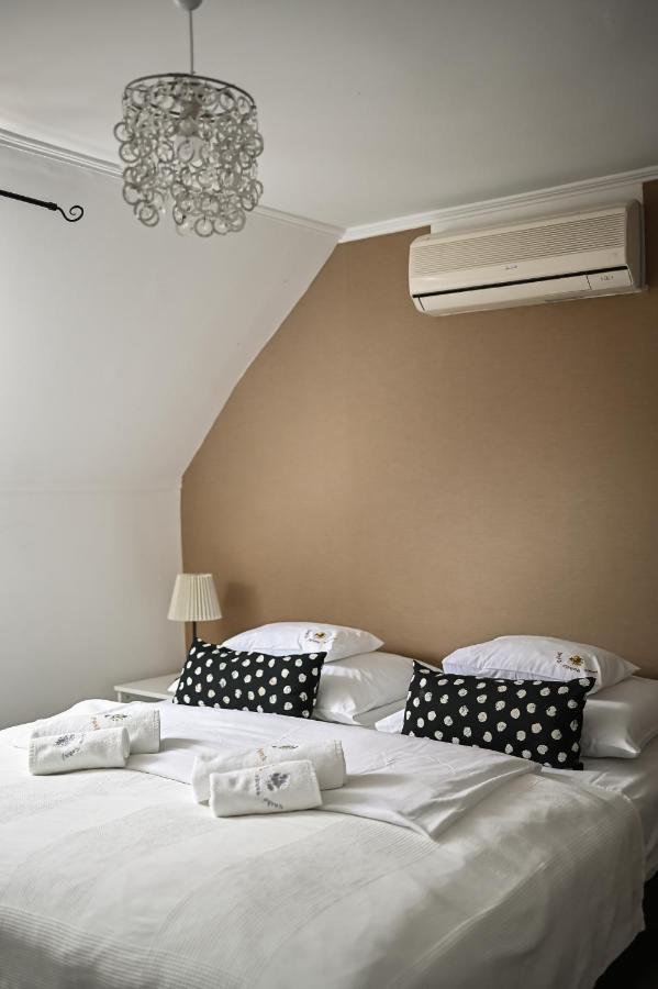 Bed and Breakfast Vasko Panzio Borpince à Tokaj Extérieur photo
